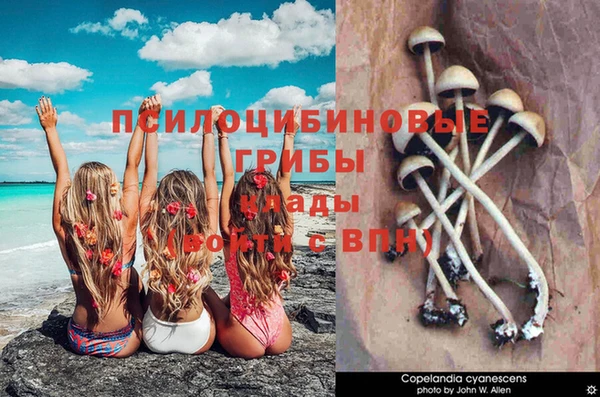MESCALINE Белоозёрский